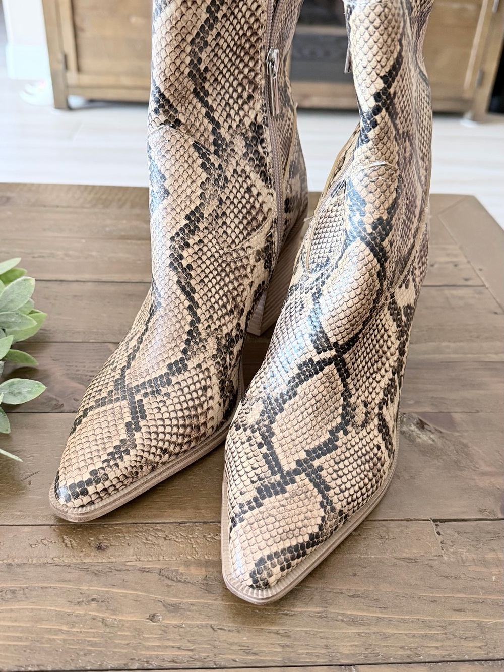 Steve Madden Snake-Print Pointed Ankle Boots in Beige and Black